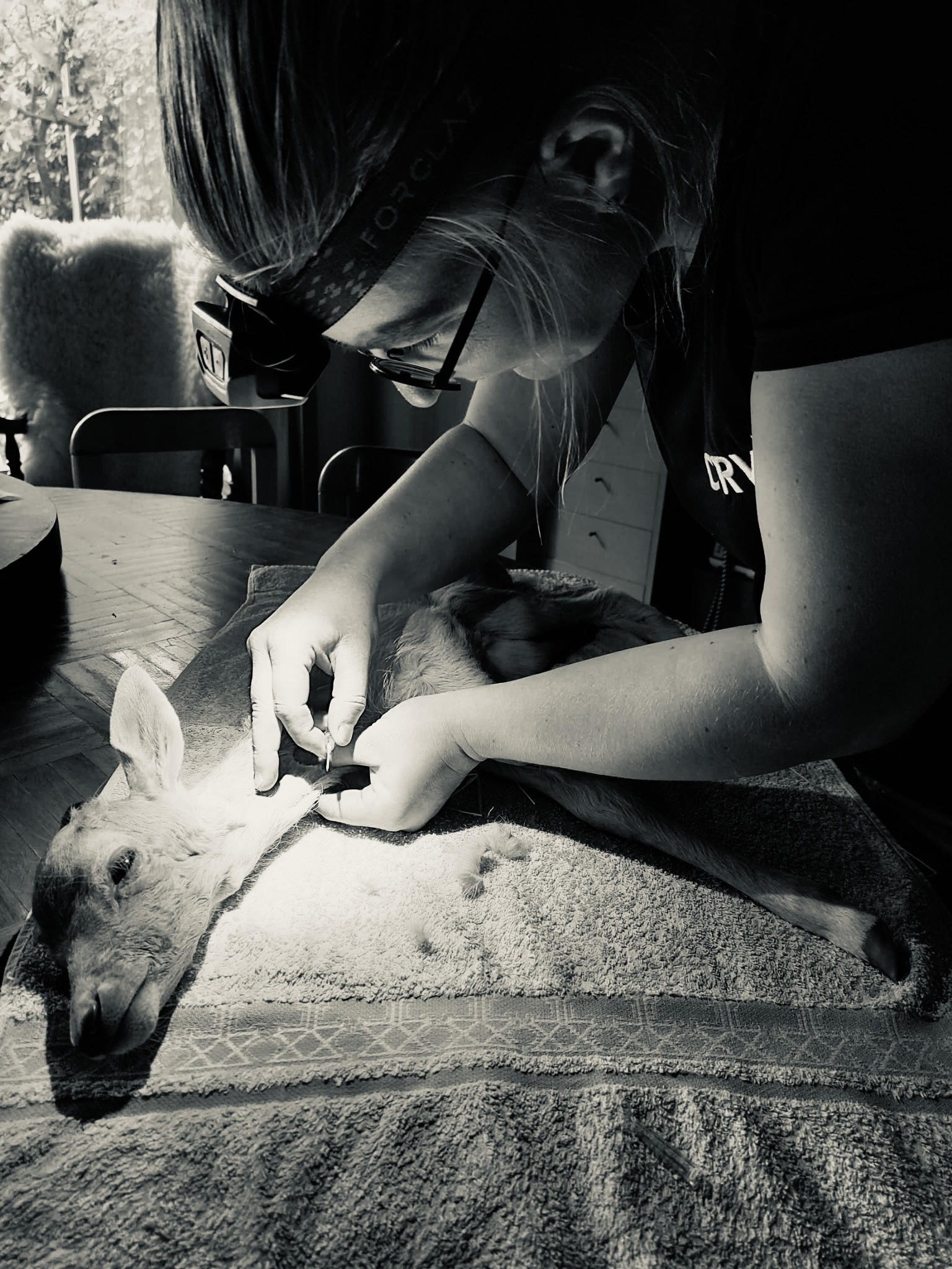 DAP Jolien Marga Verzorging Hertje